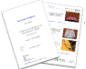 Download PDF